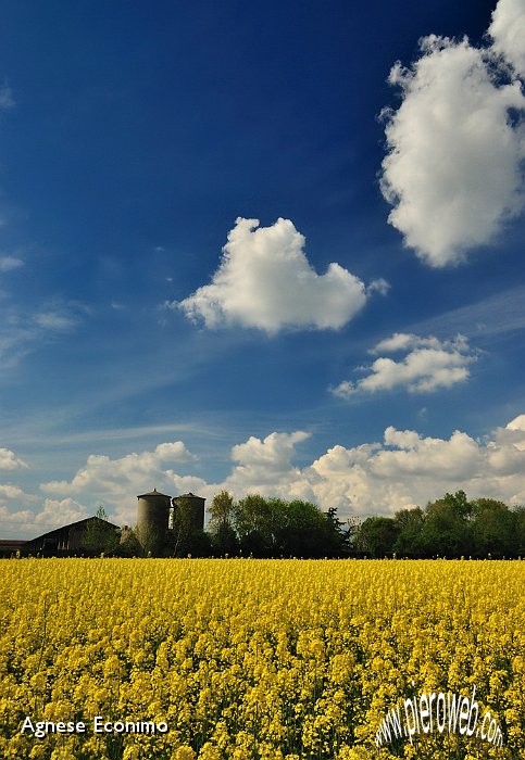 i silos della casa colonica del castello di malpaga.jpg - i silos della casa colonica del castello di Malpaga